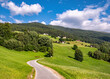 © Animaflora PicsStock - Landschaftliche Straße in den Alpen