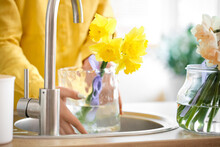 Young Woman Filling Water Into Vase With Narcissus Flowers In Sink At Home