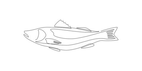 Aufkleber - Salmon fish in one continuous line drawing. Wild trout in linear sketch style on white background. Vector illustration