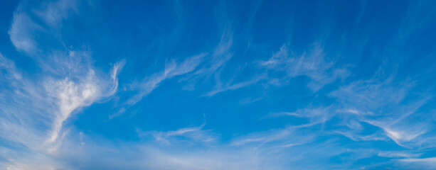 Wall Mural - Many white clouds in the panoramic blue sky.