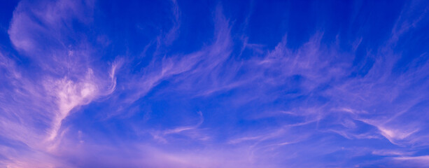 Wall Mural - Many white clouds in the panoramic blue sky.