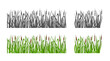 Grass with reeds set silhouette and color option. Isolated background. Vector illustration