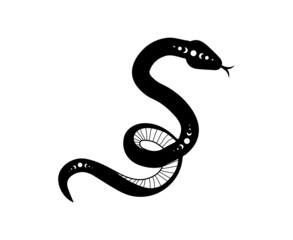 Wall Mural - Magic snake in boho style with moon. Mystical symbol in a trendy minimalist style. Esoteric vector illustration.