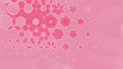 Wall Mural - pretty pink flower spinning on an abstract background. 4k loopable motion illustration.