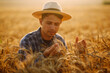 © maxbelchenko - Young farmer in hat checking the quality of wheat grain on the spikelets at the field.  Farm worker touches the ears of wheat to assure that the crop is in good condition. Agriculture and harvesting.