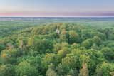 Fototapeta Fototapety na ścianę - Zielony Las, kompleks leśny w rejonie miasta Żary. Zachód słońca, widok z drona.
