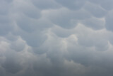 Fototapeta Sypialnia - wonderful round mammatus clouds on the sky