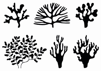 Canvas Print - sea corals and seaweed black silhouette. vector isolated set