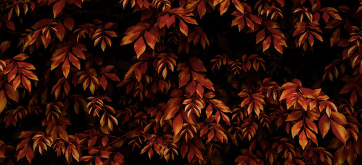 Wall Mural - red leaf background, nature background concept