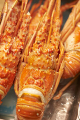 Poster - Fresh lobsters displayed in a traditional market