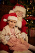 © Andrey Kiselev - smiling girl child with Santa