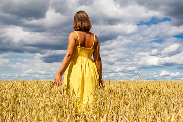 A young girl walks across a field of gold and touches the wheat with her palm.