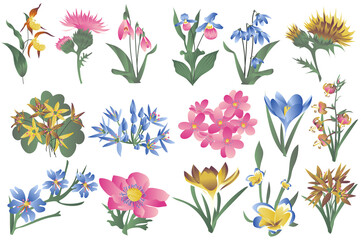 Leinwandbilder - Flowering wildflowers and blooming flowers isolated set. Irises, lilies, snowdrops and other types of spring and summer plants. Bundle of floral elements. Vector illustration in hand drawn design