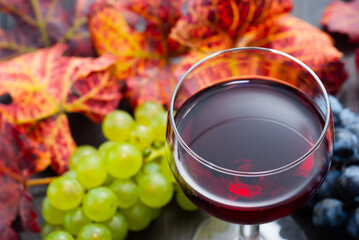 Wall Mural - glass of red wine and grapes on black wooden table background