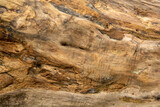 Fototapeta  - drewno wypłukane przez wodę naturalne  wallpaper tapeta tło