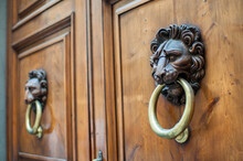 Antique Door Handle-knocker In Shape Of Lion, Italy, Florence