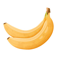 Vector realistic isolated illustration of a bunch of two bananas. A healthy natural sweet tropical fruit.