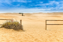Pacific Dunes At Pismo Beach , Oceana California