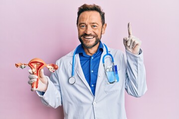 Sticker - Middle age gynecologist man holding anatomical model of female genital organ smiling with an idea or question pointing finger with happy face, number one