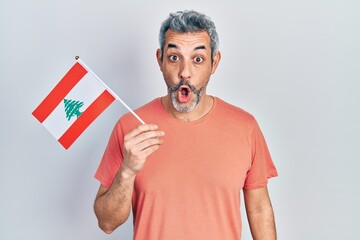 Poster - Handsome middle age man with grey hair holding lebanon flag scared and amazed with open mouth for surprise, disbelief face