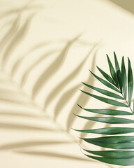 Canvas Print - Natural green palm leaf with sun shade on light yellow. Summer minimal concept, beautiful daylight