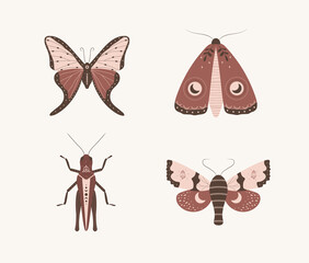 Wall Mural - Insects in bohemian style. Abstract hand drawn moth, butterfly and grasshopper with moon and stars. Set of alchemy esoteric symbols. Vintage vector illustration.