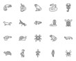 Reptiles and amphibians line icons set