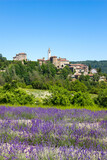 Fototapeta  - Levender field with the Sale San Giovanni village on the background, Cuneo Province, Pidmont, Italy