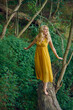 © Lars Zahner - Carefree barefoot attractive blond woman balancing on an old fallen log in a forest wearing an elegant yellow dress looking away to the side with a happy friendly smile