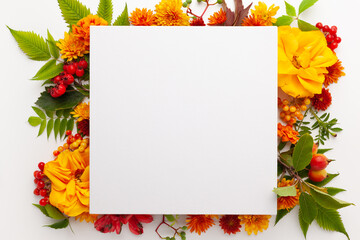 Wall Mural - autumn composition with flowers, leaves and berries on white background. flat lay, copy space.