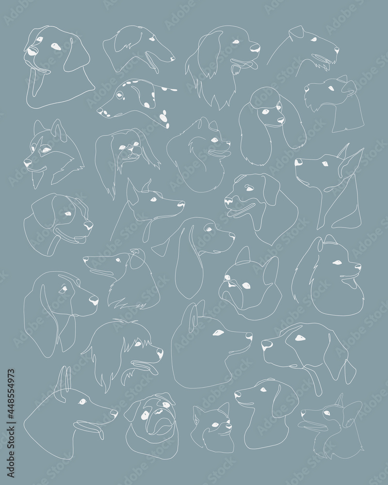 Set with isolated vector portraits of different dog breeds, line art ...
