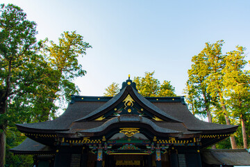 Wall Mural - pavilion in the park