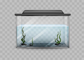 Transparent aquarium with water and algae isolated template