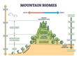 Mountain biomes with altitude and merriams life zones axis outline diagram. Educational climate and flora ecosystem description with labeled educational arizona vegetation types vector illustration.