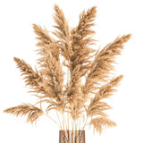 Fototapeta  - decorative bouquet of dried flowers in a vase with reeds on a white background
