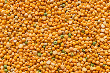 Poster - Dry split green and yellow peas texture background. Great for soups.	