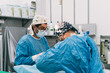 © ADDICTIVE STOCK - Veterinarians conducting surgery in operating room