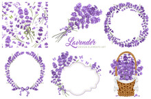 Set Of Vintage Floral Design Elements With Lavender Flowers. Circle Frame, Seamless Pattern, Bouquet, Label Template And Flowers In The Basket. Vector Illustration.