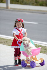 Linda criança com vestido vermelho e óculos de sol brincando com cachorro Golden Retriever .
