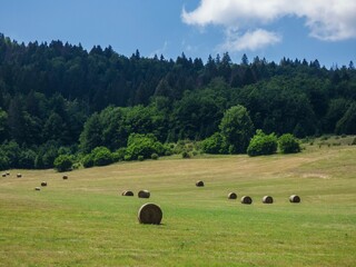 Canvas Print - summer