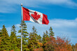 Canadian flag flying in a brisk wind over an autumn landscape.