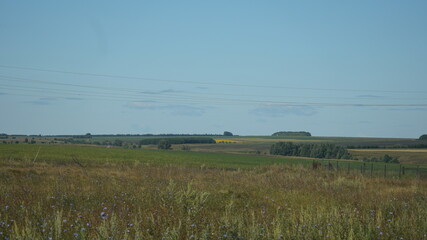 Wall Mural - view of the fields