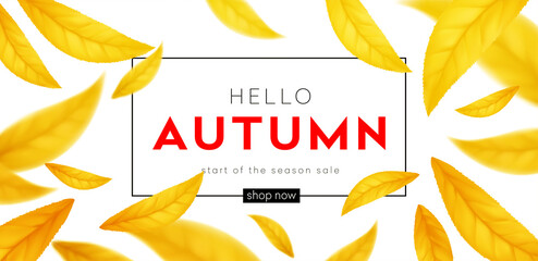 Wall Mural - Background for the autumn season of discounts. Fall sale background with flying yellow and orange autumn leaves. Vector illustration