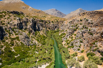 Wall Mural - Aerial view of a palm forest and river leading to a clear blue ocean (Preveli, Crete, Greece)