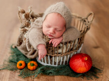 Newborn In Basket Next To Pumpkins