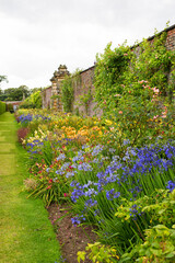 Border with colorful flowers