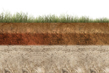 Underground Soil Layer Of Cross-section Earth With Grass On The Top