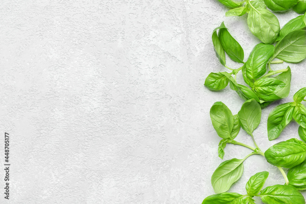 Fresh basil leaves on light background