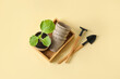 Plant seedling in peat pot and gardening tools on color background