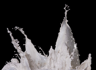 Wall Mural - milk splash isolated over black background